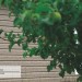 Сайдинг Ю-Пласт TIMBERBLOCK Пихта (Тимберблок) Cахалинская купить в Великих Луках