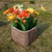 Цветник КАНЬОН купить в Великих Луках