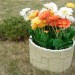 Цветник КАНЬОН купить в Великих Луках