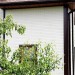 Фасадная панель Grand Line Сланец молочный купить в Великих Луках
